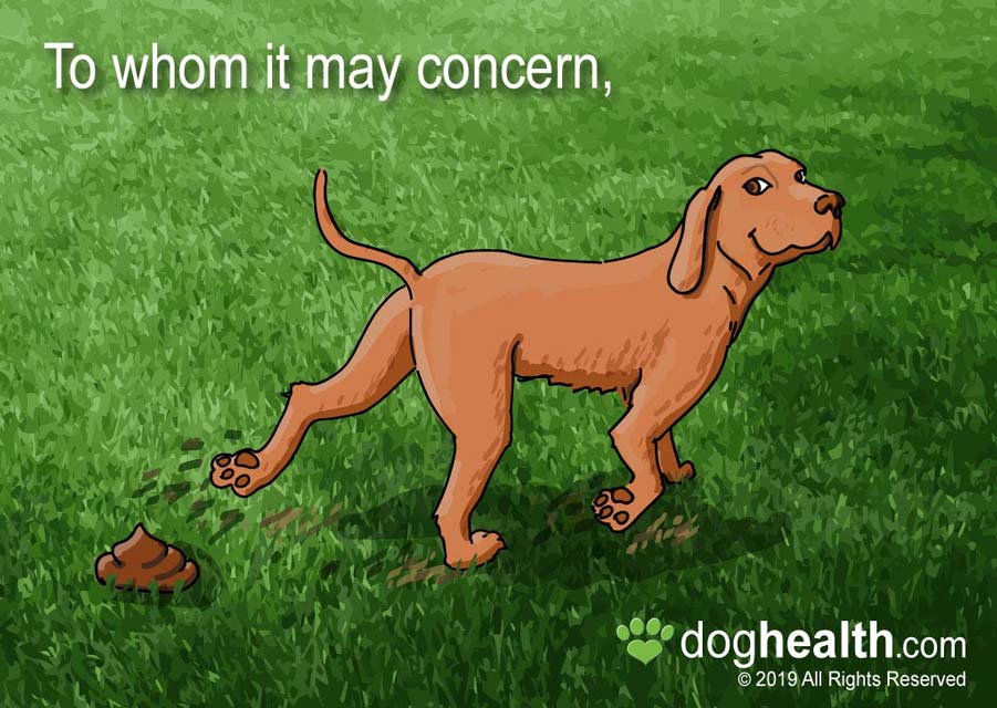 why do dogs scratch grass after they poop
